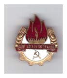 Insigna Pionier - Sunt gata intotdeauna