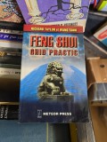 FENG SHUI GHID PRACTIC - RICHARD TAYLOR și WANG TANN