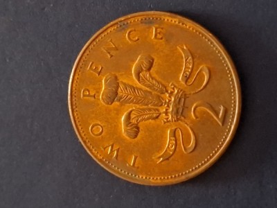 2 pence 2004 foto