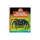 Amazing Arachnids: Spiders and Their Relatives