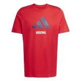 FC Arsenal tricou de bărbați Seasonal Graphic red - L