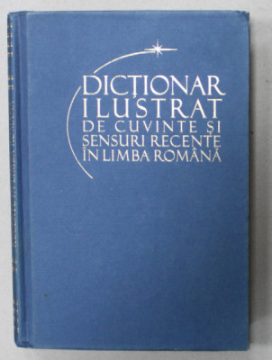 DICTIONAR ILUSTRAT DE CUVINTE SI SENSURI RECENTE IN LIMBA ROMANA de ELENA DANILA si ANDREI DANILA , 2011 foto