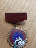 Insigne ( Festivaluri Concursuri ) Pentru merite deosebite Amatori