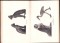 icon 11