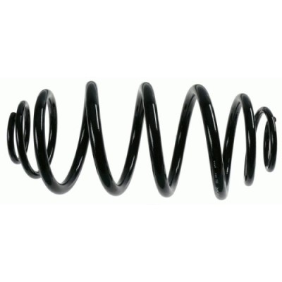 Sachs Arc spiral foto