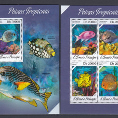 Sao Tome si Principe 2013 - Fauna Marina - PESTI - BL + KB - MNH