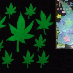 Figurine autoadezive fosforescente frunze Marijuana