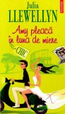 Cumpara ieftin Amy pleaca in luna de miere - 2009 - Julia Llewellyn (AA196)