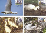 |Romania, LP 1744/2006, Pasari protejate - Lopatarul euroasian, WWF, maxime