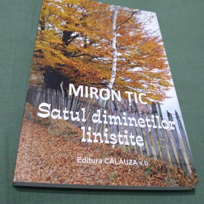SATUL DIMINETILOR LINISTITE -MIRON TIC 2016 /NOUA