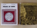 Pacuiul lui Soare (2 vol.) / Editura Academiei