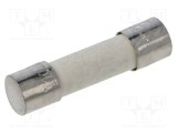 Siguranţă &icirc;nt&acirc;rziere 10A 250VAC 5x20mm alamă EATON/BUSSMANN S505