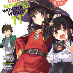 Konosuba: God's Blessing on This Wonderful World!, Vol. 11 (Light Novel): The Arch-Wizard