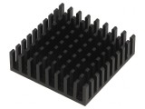 Radiator Aluminiu Negru 35x35x10mm