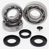 Cumpara ieftin Set de rulment diferential si garnitura Fata pentru POLARIS ATV, MAGNUM 325/500 2001-2003