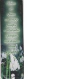 Semn de carte Mama este o floare, un anotimp proaspat,o mana calda si priceputa, raza de soare, cantec si zambet (VERDE)