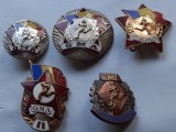LOT 5 INSIGNE GMA : TIP MARE + MIC, FGMA, NIVEL II, RECONFIRMARE, RPR, IM1,272