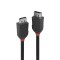 Cablu Lindy DisplayPort 1.2, 2m, negru &quot;LY-36492&quot; (timbru verde 0.8 lei)