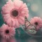 Husa Personalizata MOTOROLA One Macro Pink Flowers