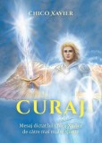 Carte Non-Fictiune Curaj Paperback Brosat - Lambodar