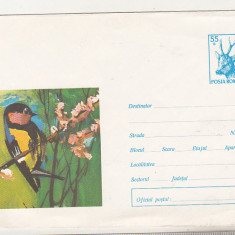 bnk ip Intreg postal 1971 - necirculat - pasare