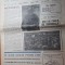 phoenix 26 februarie 1990-articol &quot; lagarul de la pitesti&quot;,fenomenul mudava