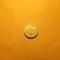 Marea Britanie / Anglia / Regatul Unit 1 Pound 2005 - Elizabeth II