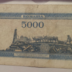 Bancnota Romania 5000 lei - 20 Decembrie 1945