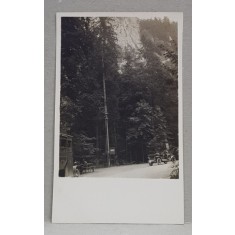 AUTOMOBILE DE EPOCA LANGA UN POPAS PE UNDRUM DIN MUNTII TATRA , FOTOGRAFIE TIP CARTE POSTALA , MONOCROMA, NECIRCULATA , PERIOADA INTERBELICA
