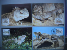 HOPCT MAXIMA 74012 NOUA ZEELANDA REPTILE TUATARA 1991-SET 4 MAXIME-FAUNA-WWF foto