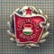 Y 484 INSIGNA- SZOCIALISTA BRIGAD- UNGARIA -PENTRU COLECTIONARI