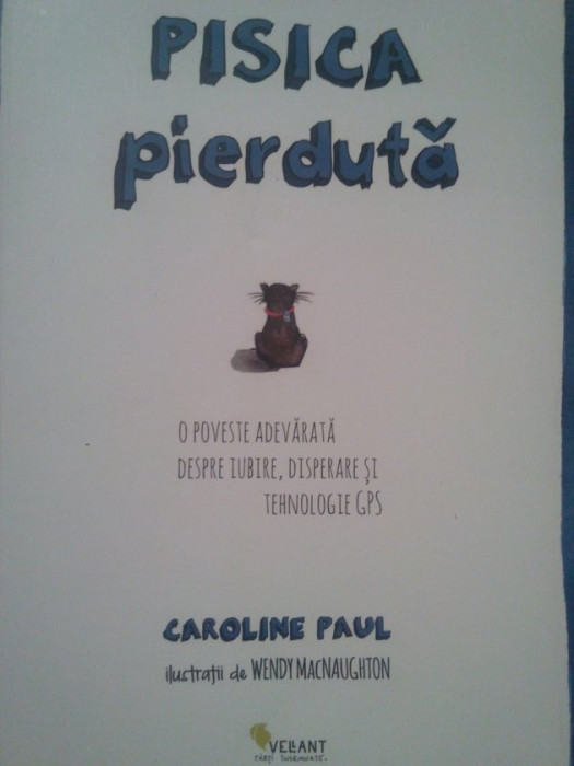 Caroline Paul - Pisica pierduta (2015)