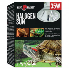 Bec REPTI PLANET Halogen Sun 35W foto