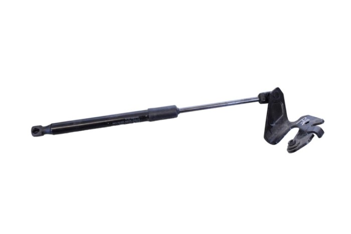 Amortizor capota st&acirc;nga față TESLA MODEL 3 2023 OEM: 1645989-00-A | 24983657