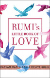 Rumi&#039;s Little Book of Love: 150 Poems That Speak to the Heart