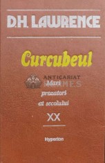 Curcubeul - 1992 - D. H. Lawrence (L34)