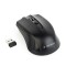 Mouse wireless optic Gembird MUSW-4B-04 negru