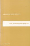 Alexandra Maria Belciug - Copilul deprivat socio-afectiv