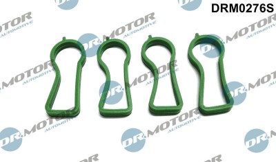 Set Garnituri, Galerie Admisie 307713 DRM0276S foto