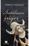 Intalnire cu un inger - Viorica Negoias
