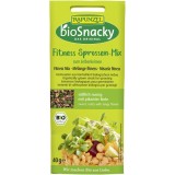 Amestec Seminte Fitness pentru Germinat Eco, 40g - Ridichi, Mung, Grau