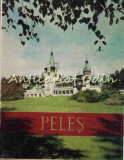 Muzeul Peles. Castelul Peles - Sinaia 1970