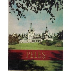 Muzeul Peles. Castelul Peles - Sinaia 1970