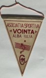 M3 C7 - Tematica cluburi sportive - Asociatia sportiva - Vointa - Alba Iulia