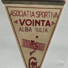 M3 C7 - Tematica cluburi sportive - Asociatia sportiva - Vointa - Alba Iulia