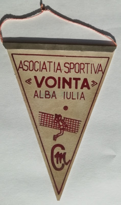 M3 C7 - Tematica cluburi sportive - Asociatia sportiva - Vointa - Alba Iulia foto