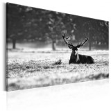 Cumpara ieftin Tablou - Lying Deer 120x80 cm
