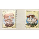 (A) Timbre straine serii tematica Flora Ciuprci