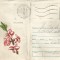 Romania, Daphne Cneorum L. Tulichina, plic circulat intern, 1974