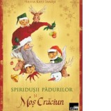 Spiridusii padurilor si Mos Craciun - Silvia Katz Ianasi